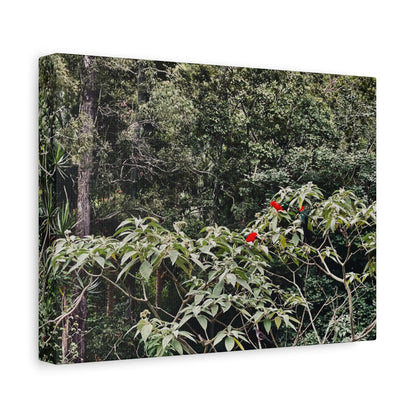 Forest Birds Mountains Prints on Canvas