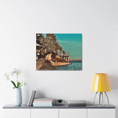 Serious Seagull Print on Canvas on Stretched Canvas