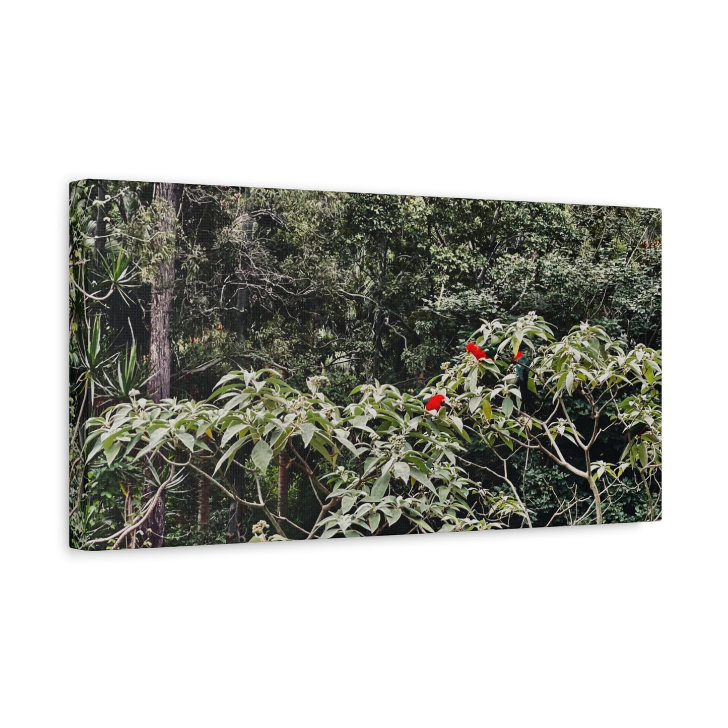 Forest Birds Mountains Prints on Canvas