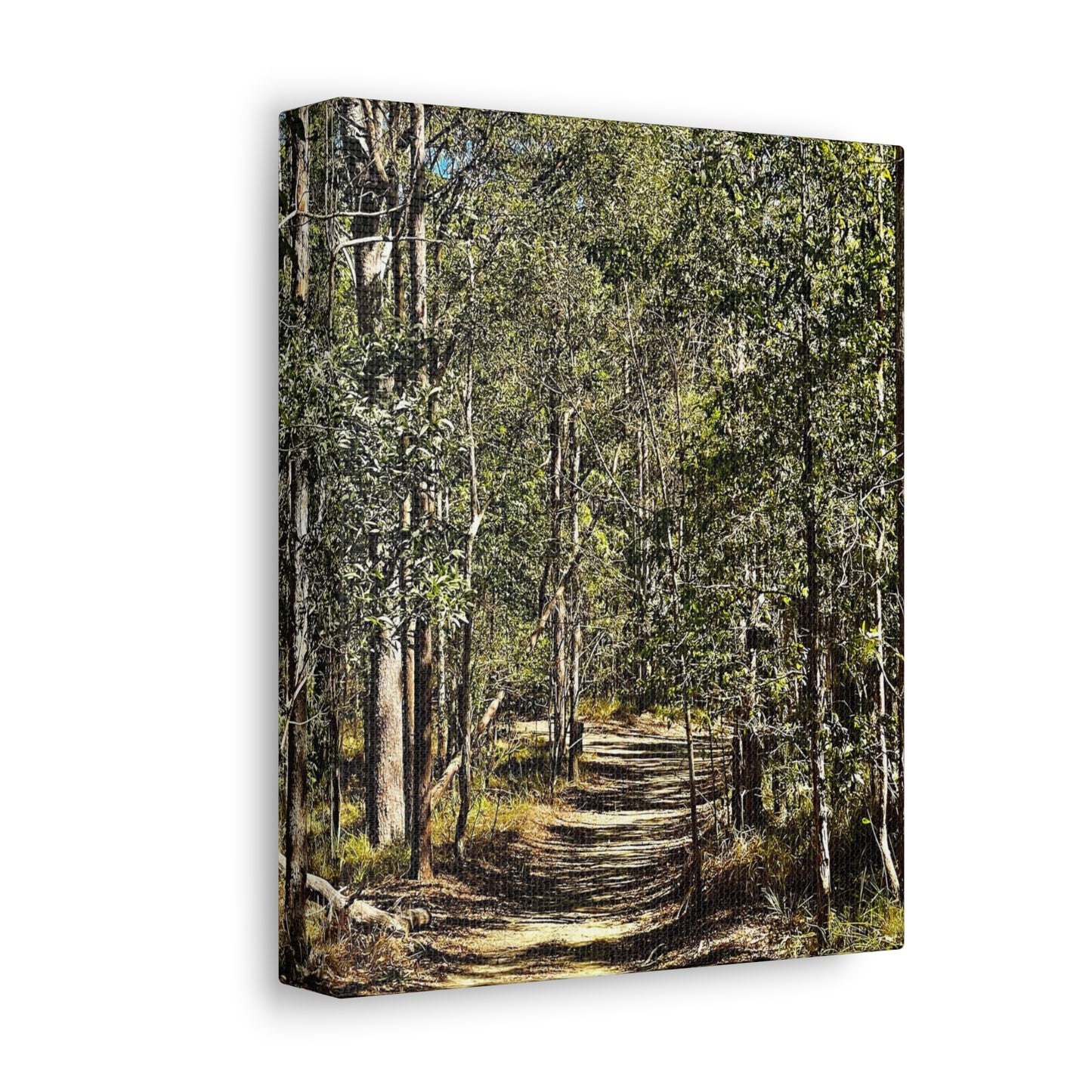 Forest Walk Print on Canvas on Stretched Canvas