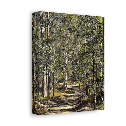 Forest Walk Print on Canvas on Stretched Canvas
