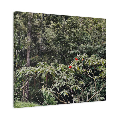 Forest Birds Mountains Prints on Canvas