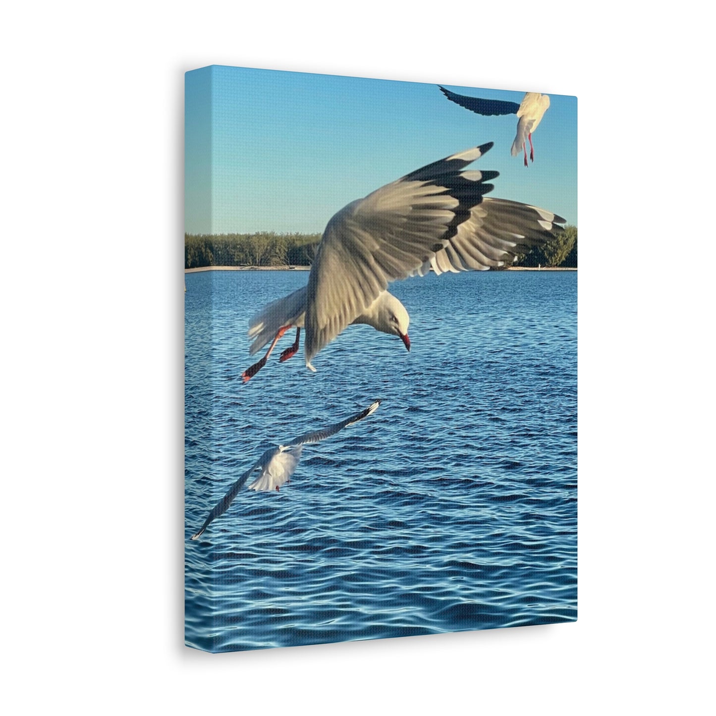 In Flight Print on Canvas on Stretched Canvas