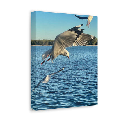 In Flight Print on Canvas on Stretched Canvas
