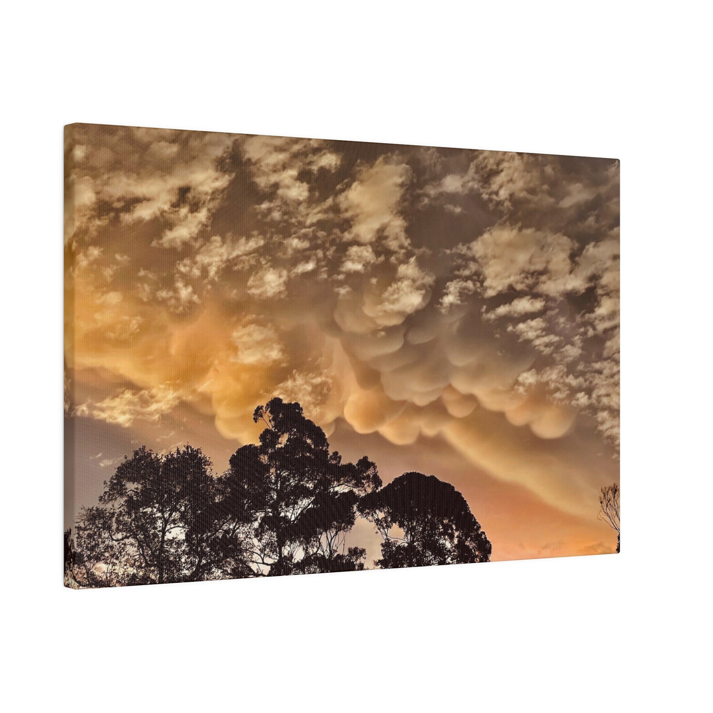 Prints on Canvas Bubble Clouds