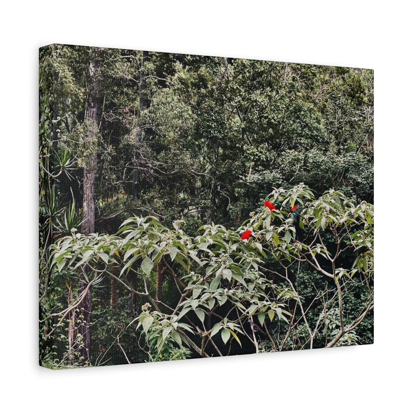Forest Birds Mountains Prints on Canvas