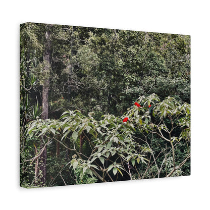 Forest Birds Mountains Prints on Canvas
