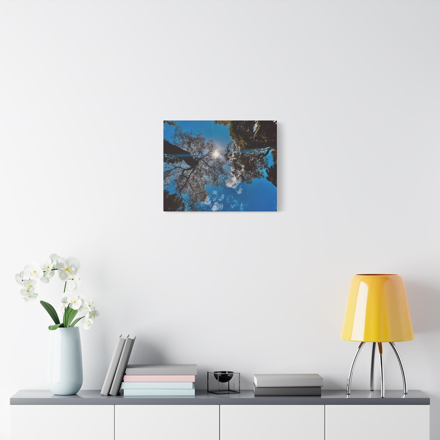 Sky Canopy Prints on Canvas