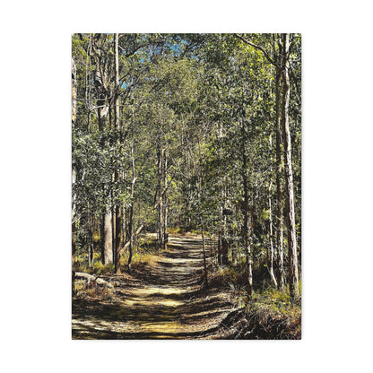 Forest Walk Print on Canvas on Stretched Canvas
