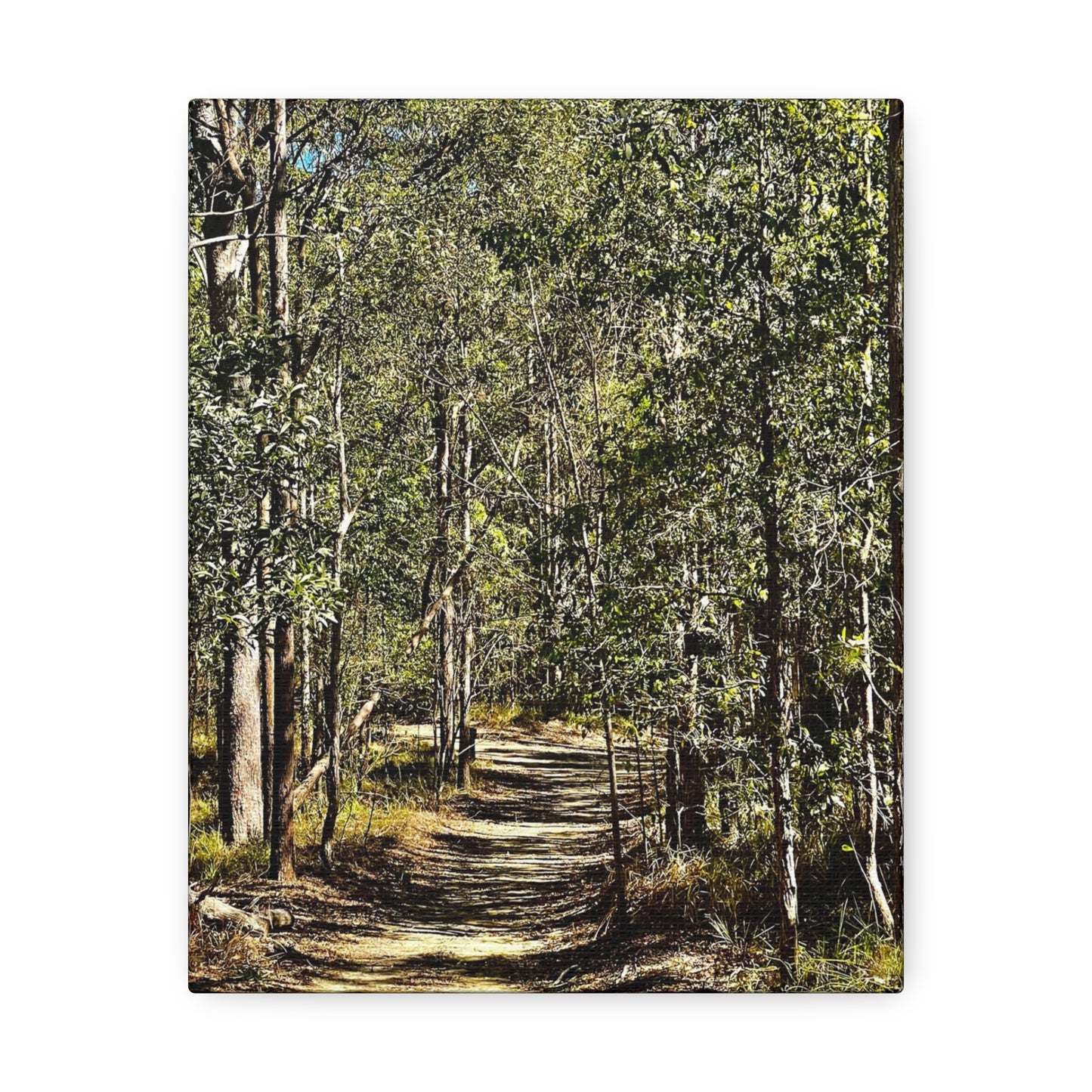 Forest Walk Print on Canvas on Stretched Canvas