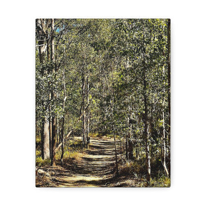 Forest Walk Print on Canvas on Stretched Canvas