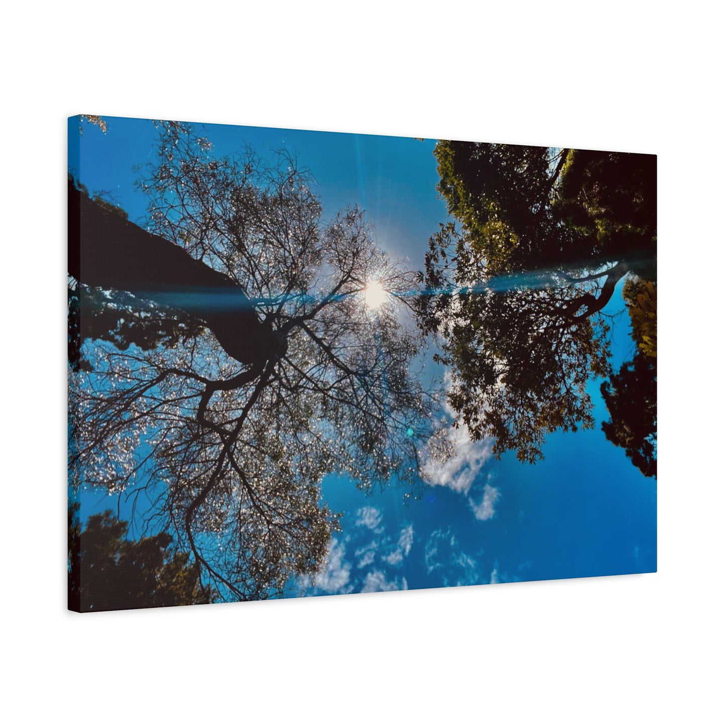 Sky Canopy Prints on Canvas
