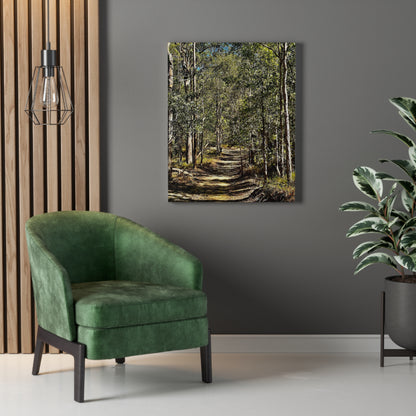Forest Walk Print on Canvas on Stretched Canvas