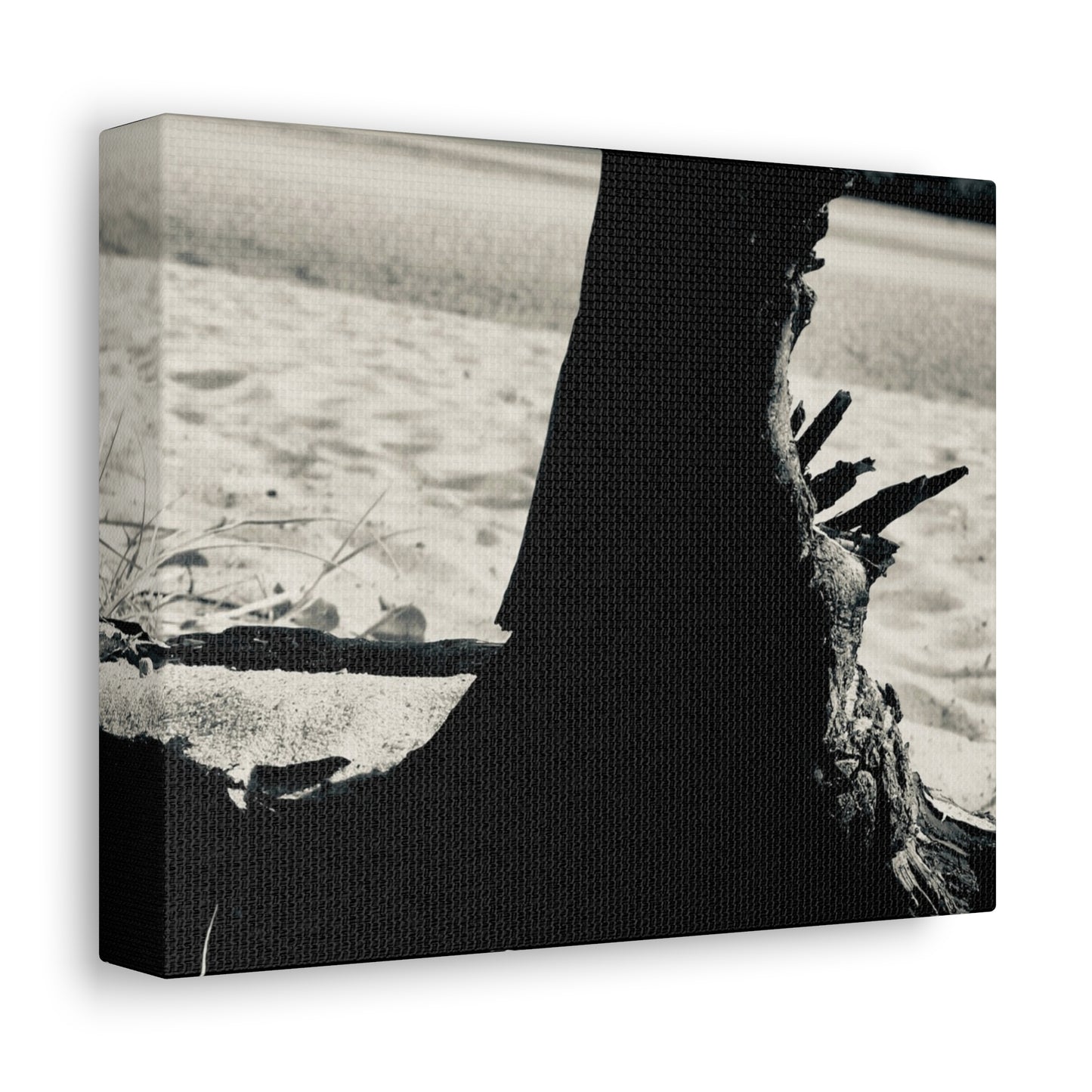 Beach Log Print on Canvas on Stretched Canvas