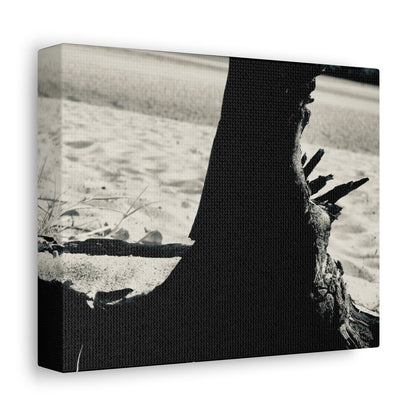 Beach Log Print on Canvas on Stretched Canvas