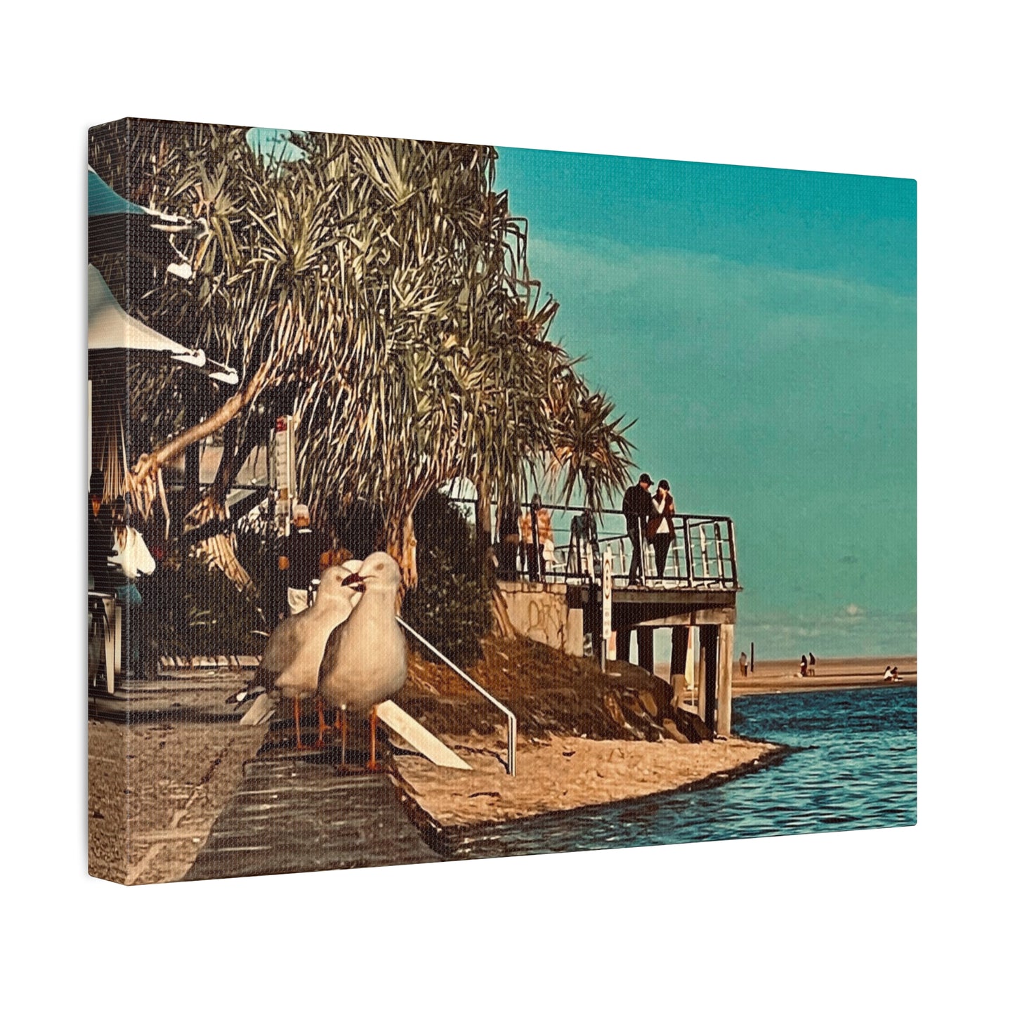 Serious Seagull Print on Canvas on Stretched Canvas