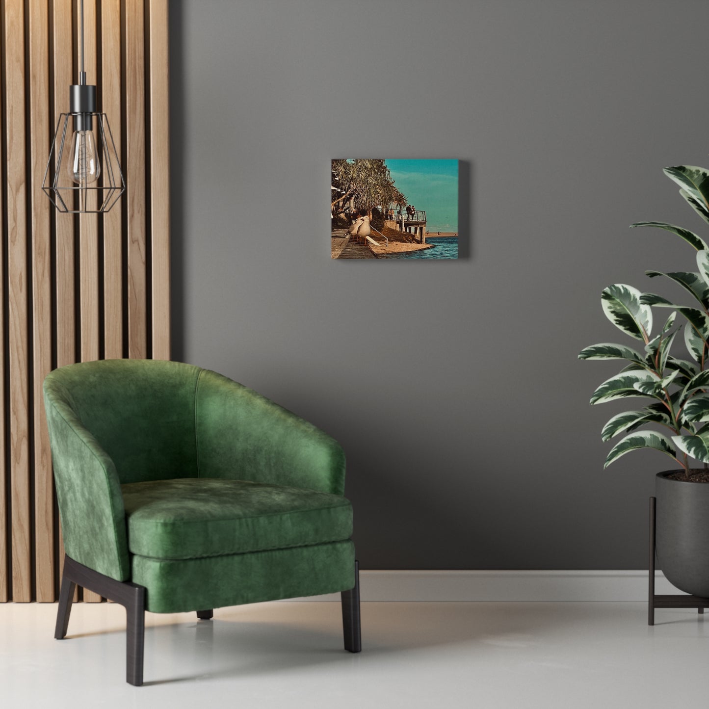 Serious Seagull Print on Canvas on Stretched Canvas