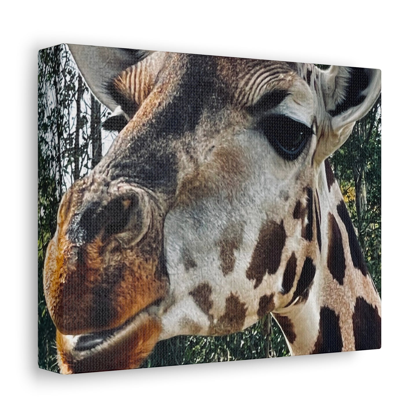 Giraffe Print on Canvas on Stretched Canvas