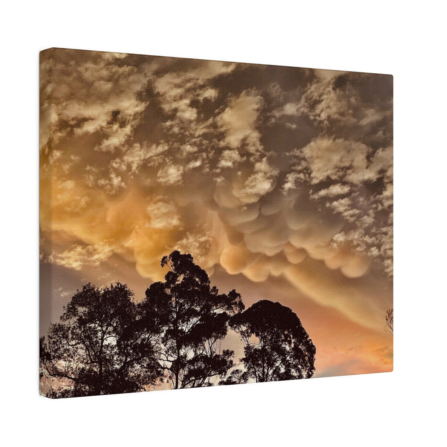 Prints on Canvas Bubble Clouds