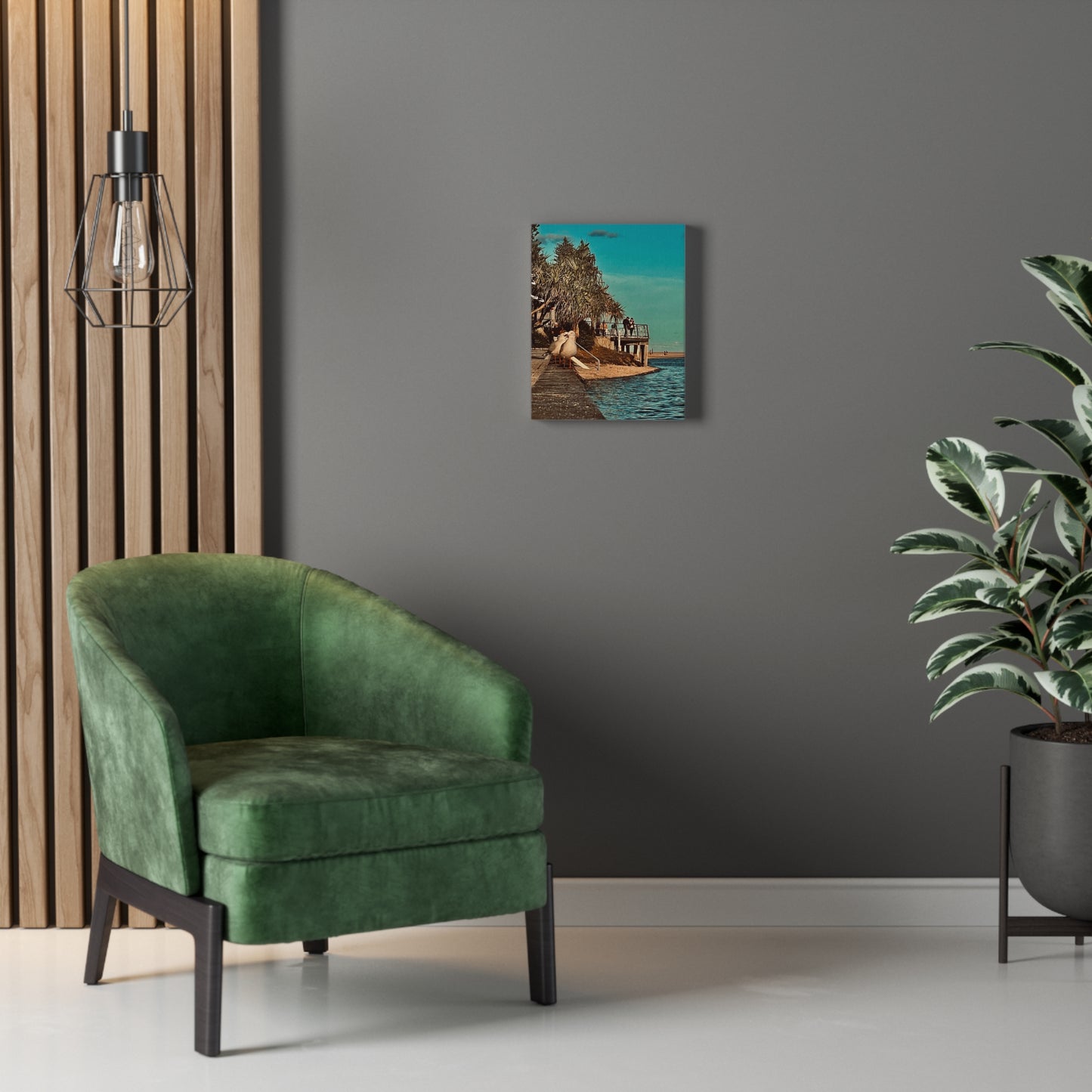 Serious Seagull Print on Canvas on Stretched Canvas
