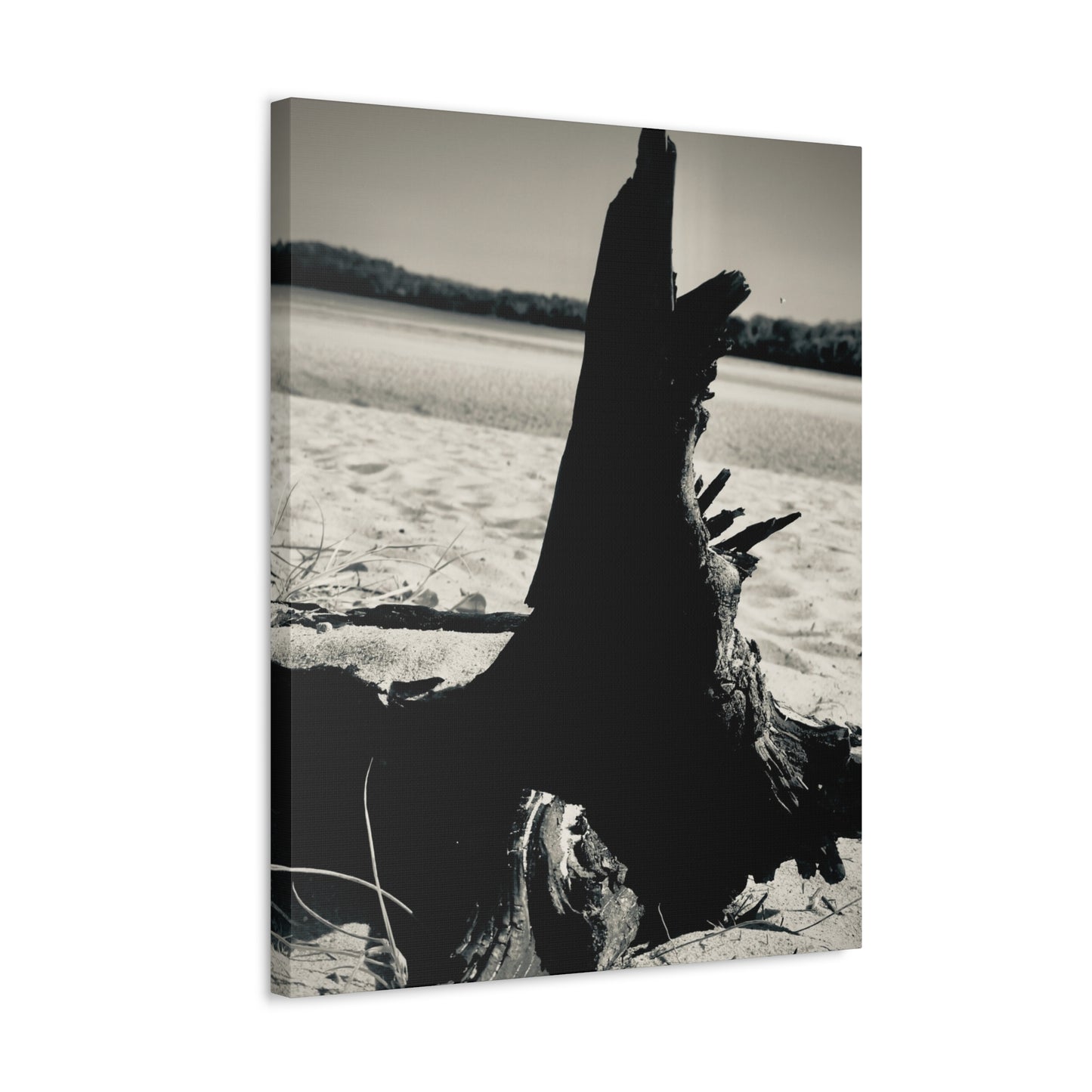 Beach Log Print on Canvas on Stretched Canvas