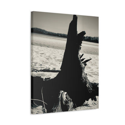 Beach Log Print on Canvas on Stretched Canvas