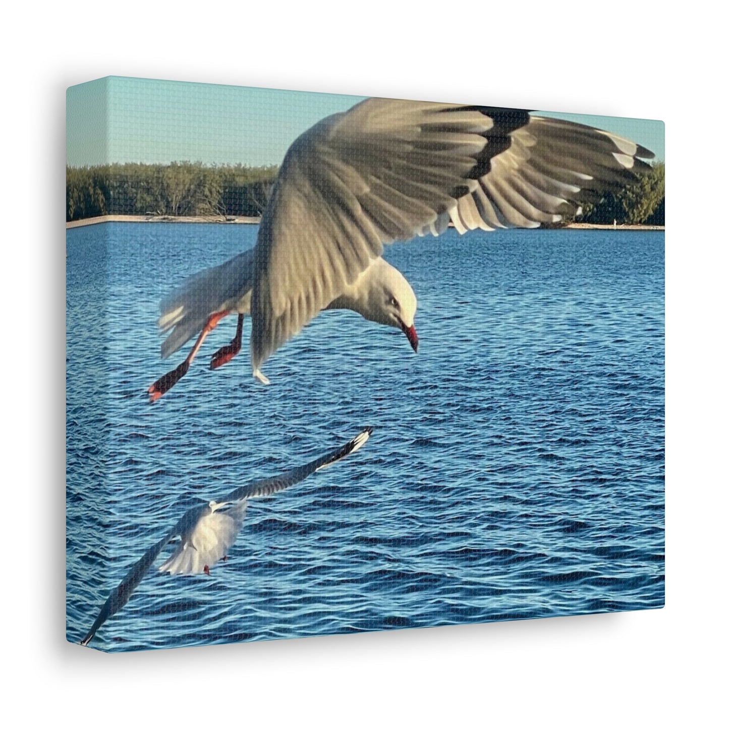 In Flight Print on Canvas on Stretched Canvas