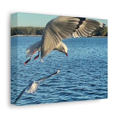 In Flight Print on Canvas on Stretched Canvas