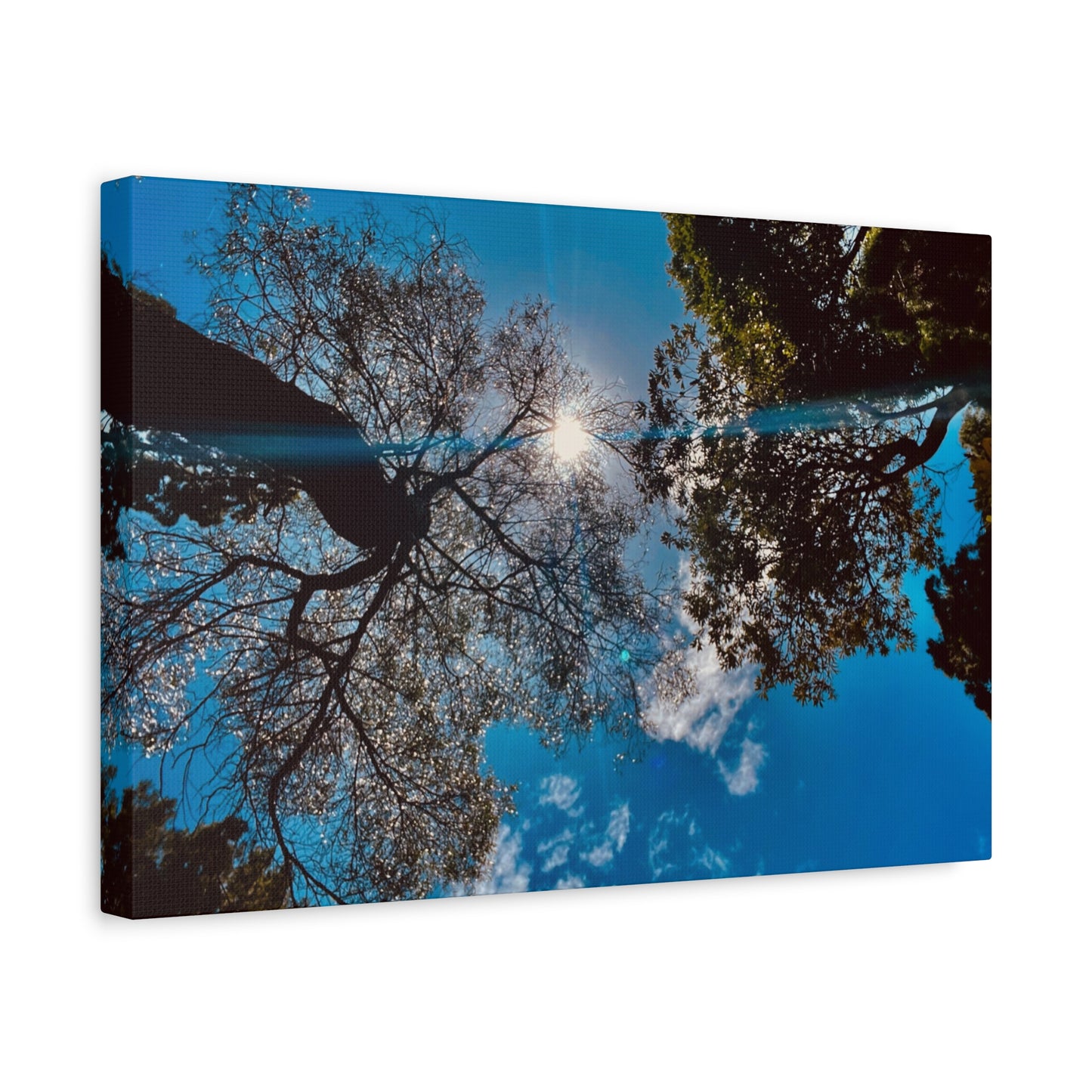 Sky Canopy Prints on Canvas