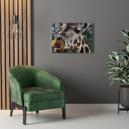 Giraffe Print on Canvas on Stretched Canvas