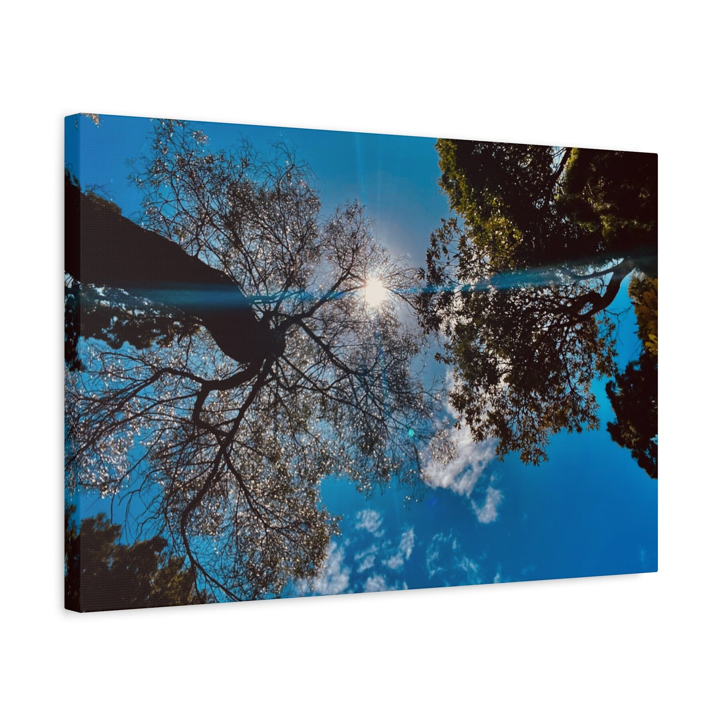 Sky Canopy Prints on Canvas