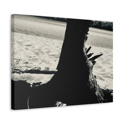 Beach Log Print on Canvas on Stretched Canvas