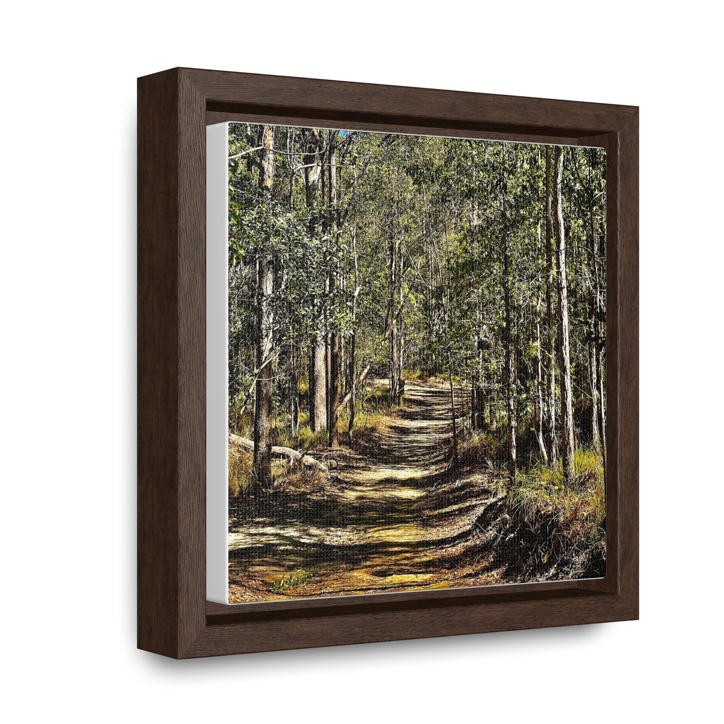 Forest Walk Prints on Canvas, Square Frame