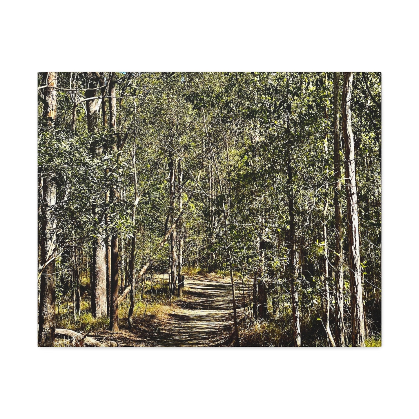 Forest Walk Print on Canvas on Stretched Canvas