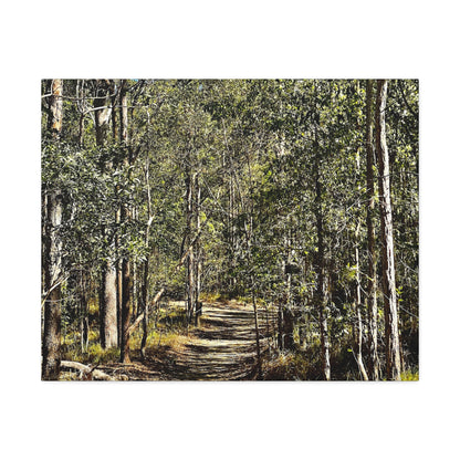 Forest Walk Print on Canvas on Stretched Canvas