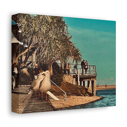 Serious Seagull Print on Canvas on Stretched Canvas